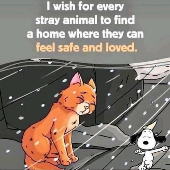 Meet your Posher, TRose Posh Ambassador - Picture 9 of 10